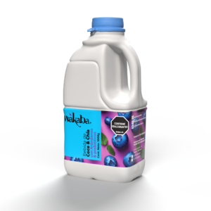 Bebida de coco con chía sabor Arándanos 1Lt Wakaba