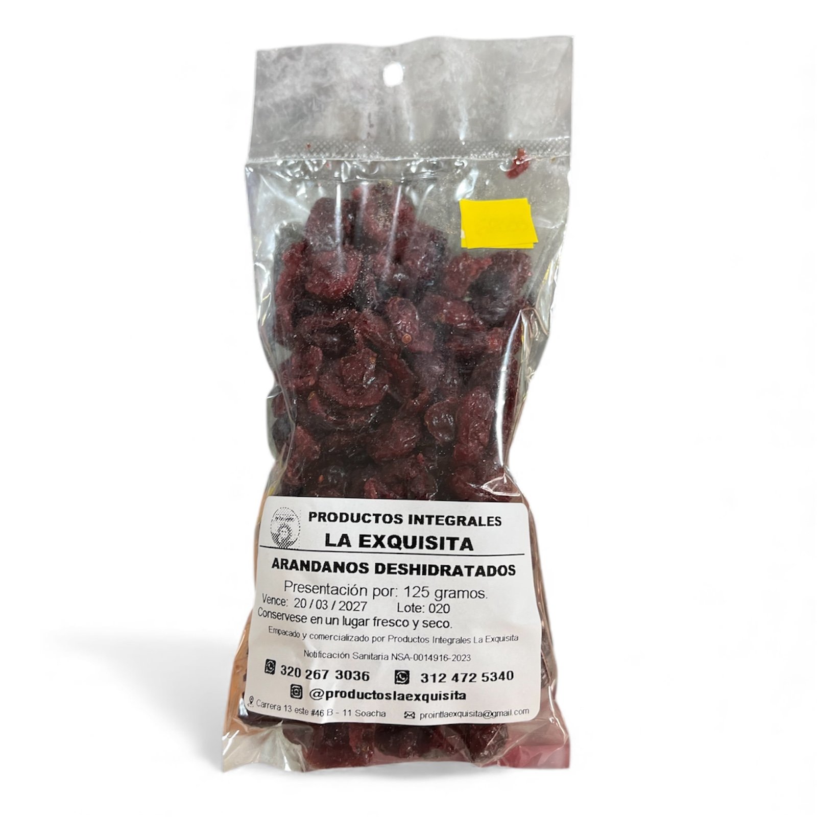 Arándanos-deshidratados-La-Exquisita-Paquete-125-gramos